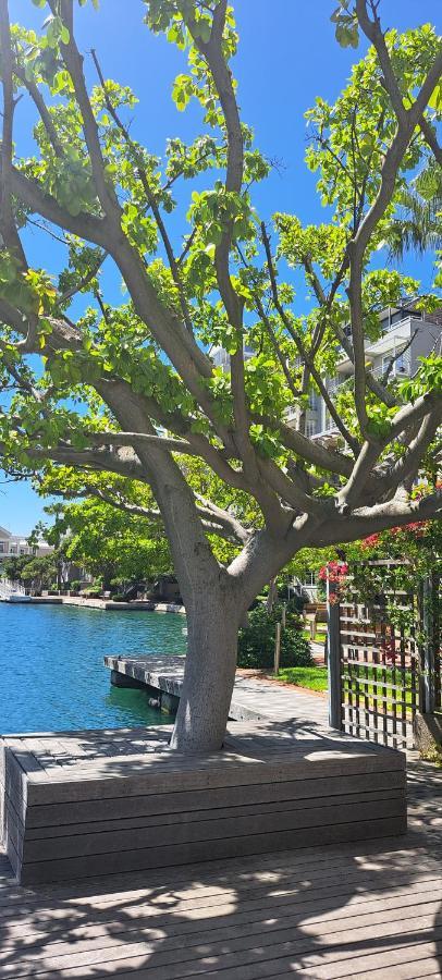 V&A Waterfront Marina Family Apartment 201 Altmore كيب تاون المظهر الخارجي الصورة